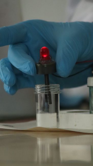 Top Wearable Electronics Trends Shaping 2024